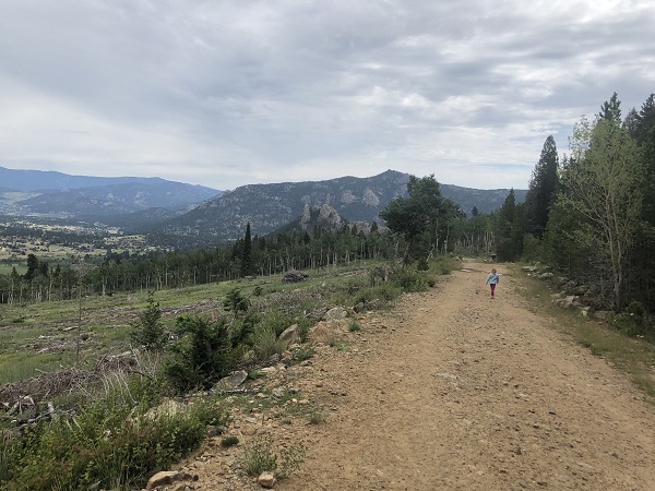 Trees Cleared on Homer Rouse Trail